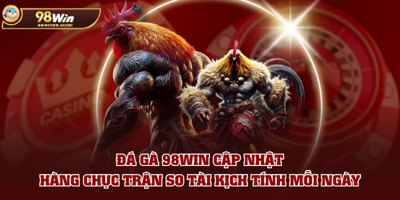 Đá Gà 98WIN cập nhật hàng chục trận so tài kịch tính mỗi ngày